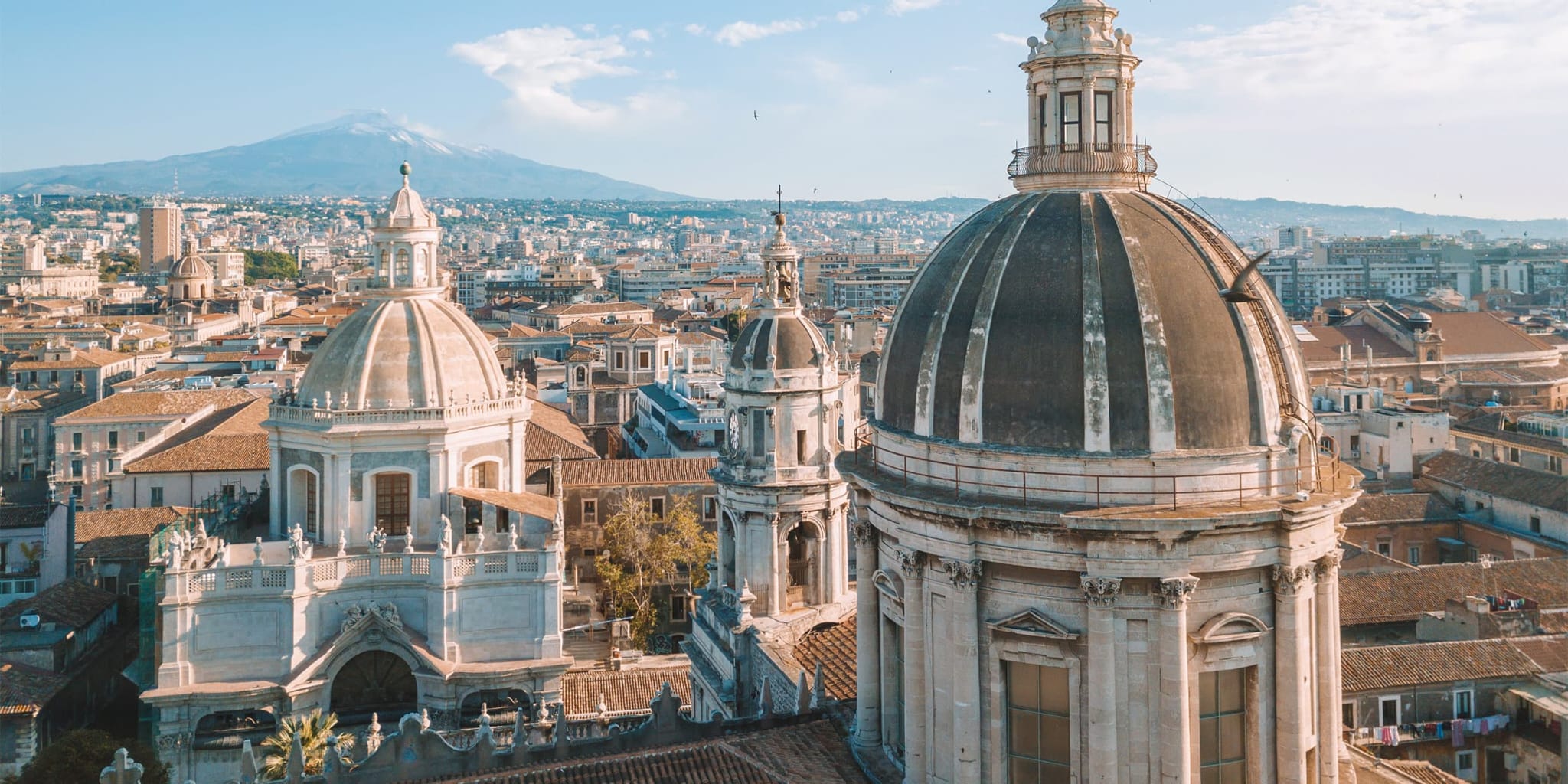 immagine che raffigura la basilica cattedrale metropolitana di Sant'Agata
